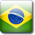 Portuguese Language